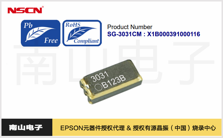 79.SG-3031CM.jpg